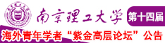 黑人尻庇视频南京理工大学第十四届海外青年学者紫金论坛诚邀海内外英才！